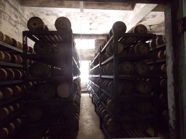 dscn5669
