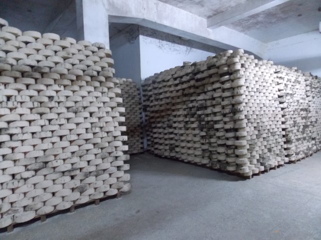 dscn5672