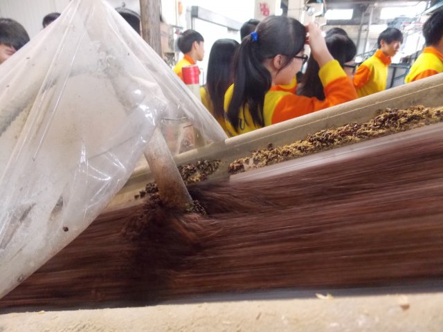dscn5684