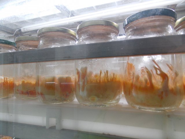 dscn5697