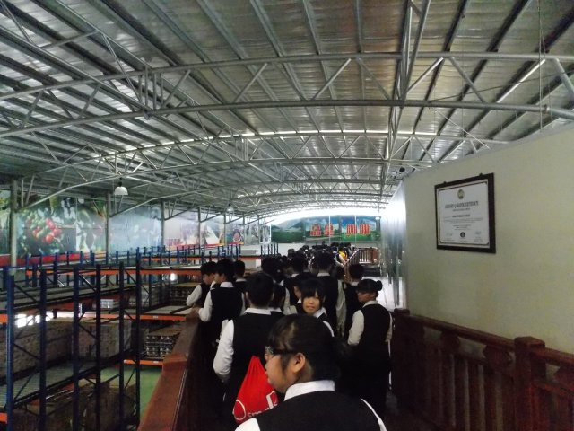 dscn6076