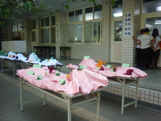 p1010847
