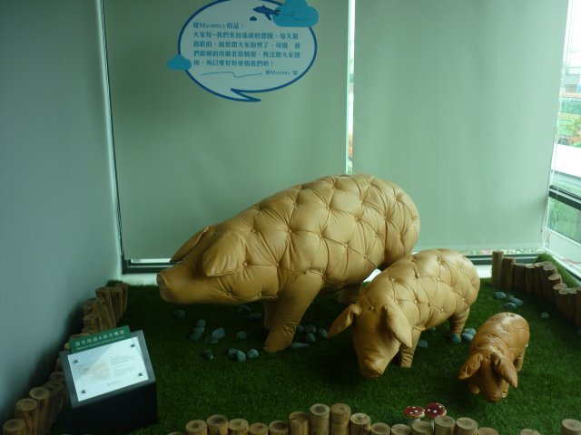 p1040474