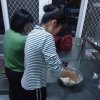 dsc06377