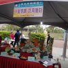 dscn4875