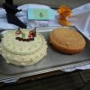 sam_2659
